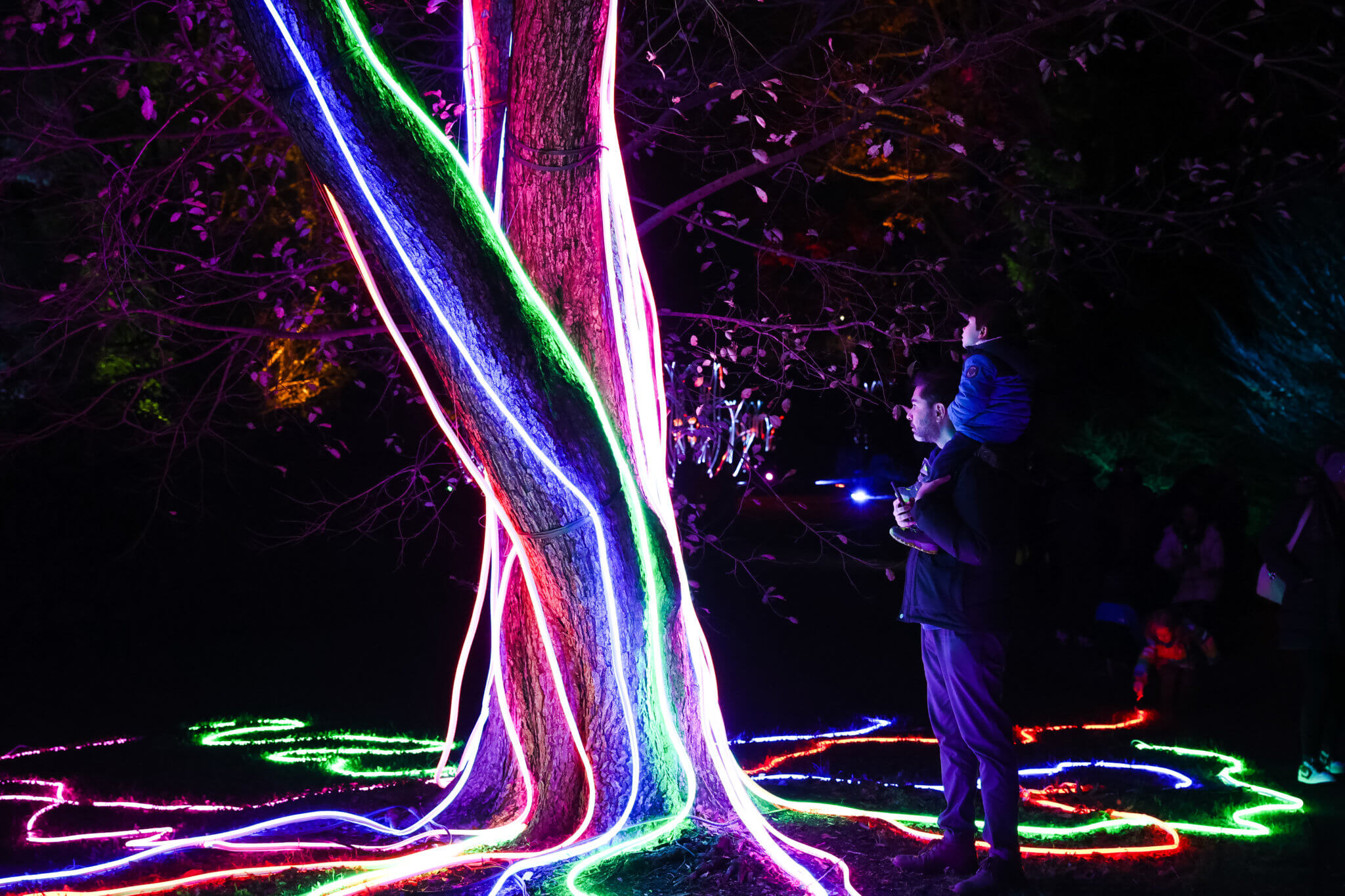 Dazzling Lightscape illuminated trail returns to Brooklyn Botanic