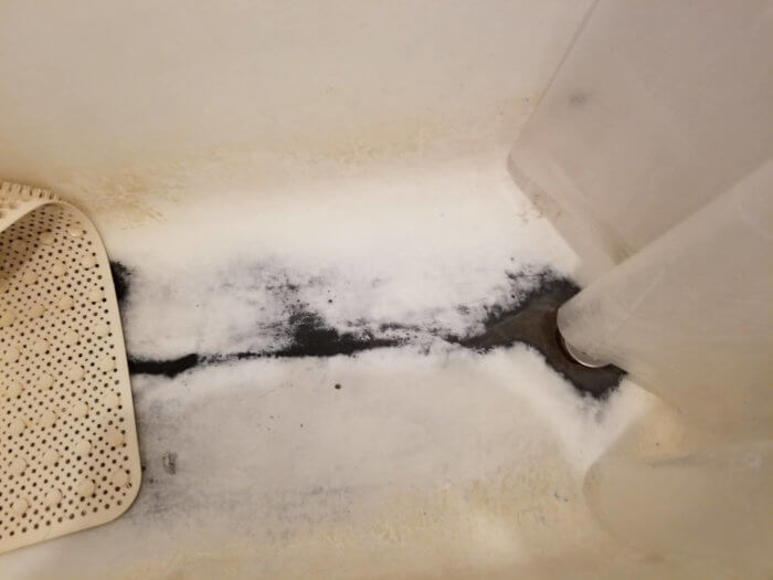 mold in sterling place bathtub