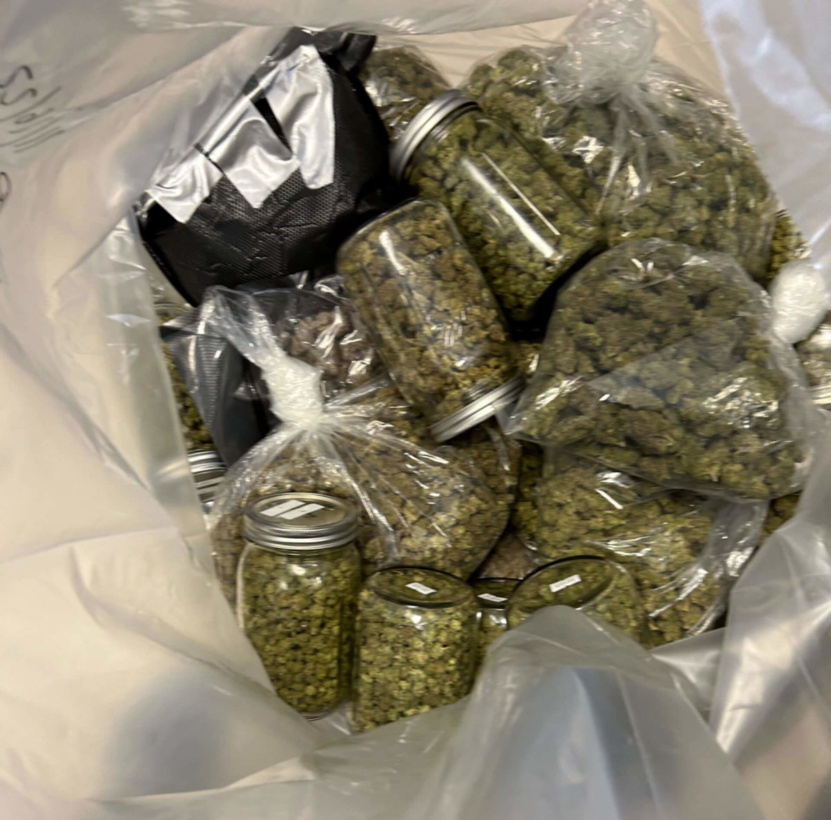 Roughly $1 million dollars worth of cannabis were gathered from Big Chief.