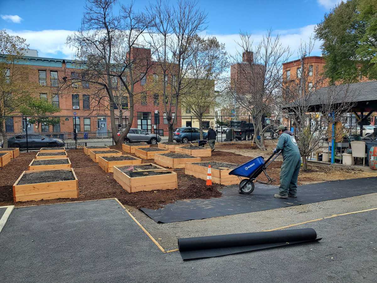 person tending brooklyn community garden