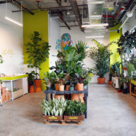 Horti opens Brooklyn’s largest indoor plant store