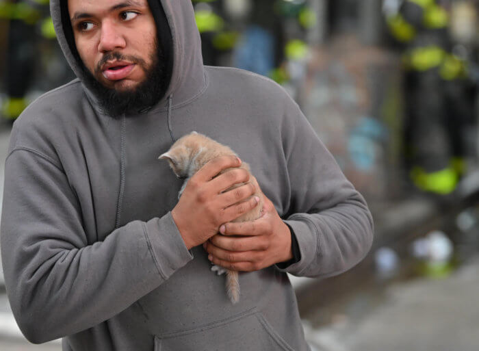 man holding kitten rescued from bed-stuy fire