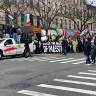 Free Palestine movement in Bay Ridge