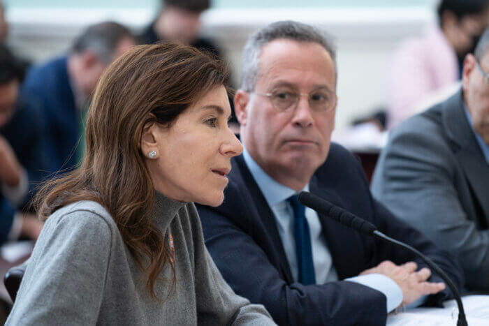 brooklyn public library CEO at hearing