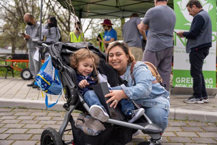 NYRP plans to hand out 3,500 trees to people located across the five boroughs in this year's giveaway.