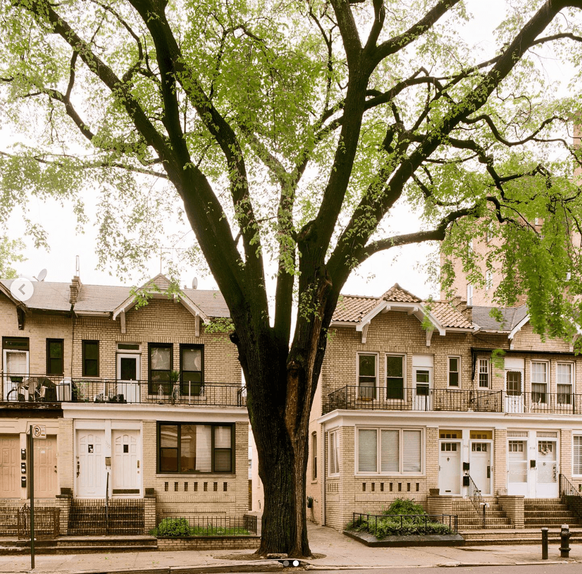 bay ridge through an ecological lens photo