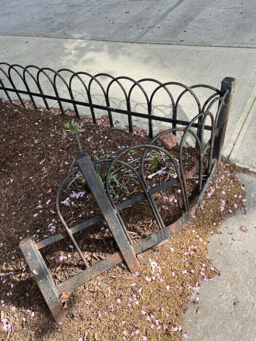 damaged tree pit atlantic avenue