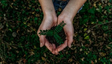 earth day hands