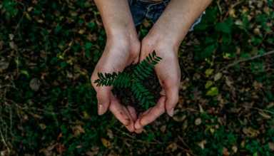 earth day hands