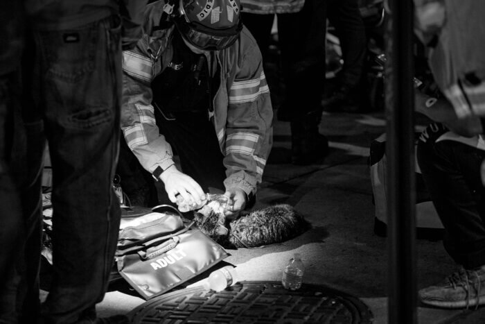 EMS Paramedics were able to resuscitate the pet cat found in the fire apartment