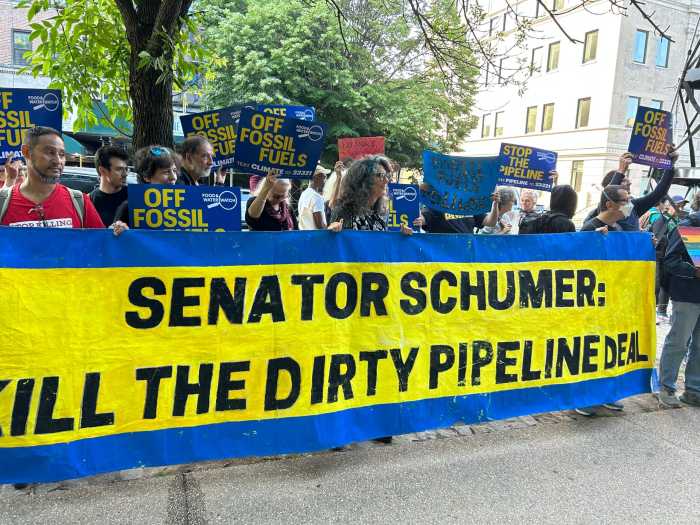 chuck schumer protest