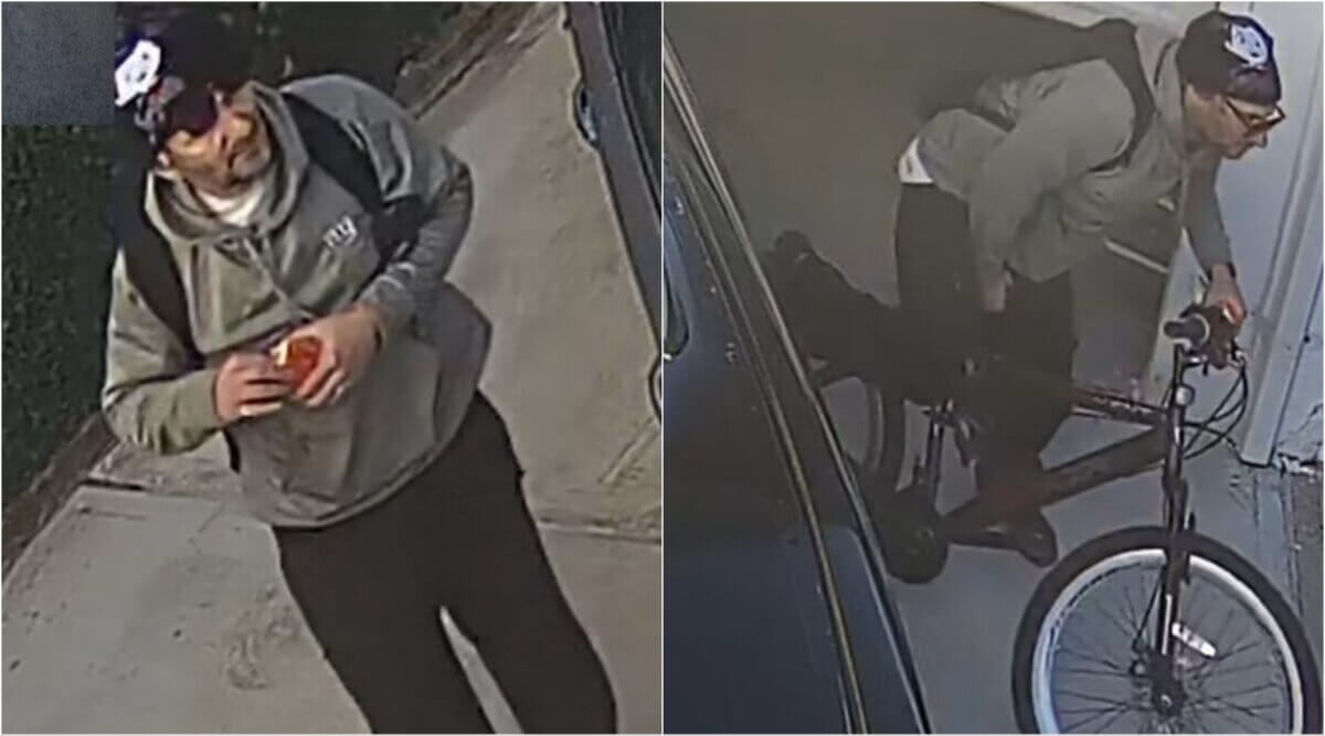 brighton beach bike burglar
