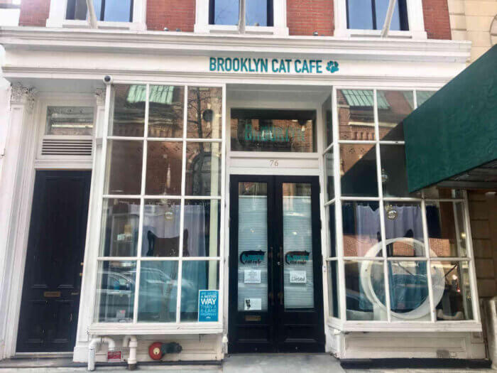 brooklyn cat café exterior