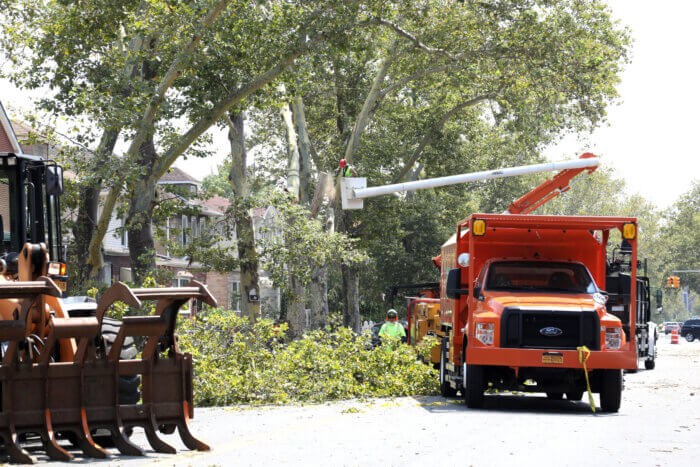 post storm cleanup in bensonhurst