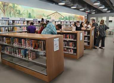 brower park library at Children's museum
