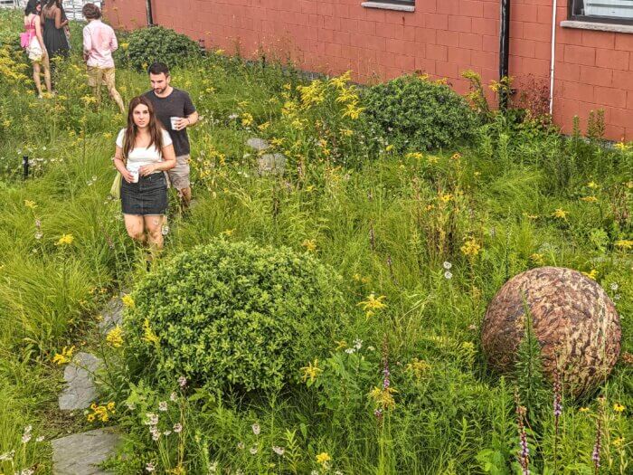 people walking at kingsland wildflowers festival