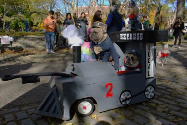 dogs dressed as train at great PUPkin