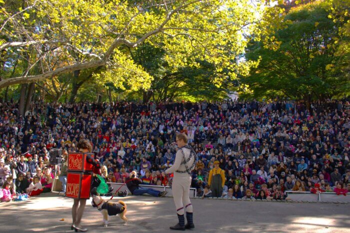 crowd of dogs at great PUPkin dog costume contest