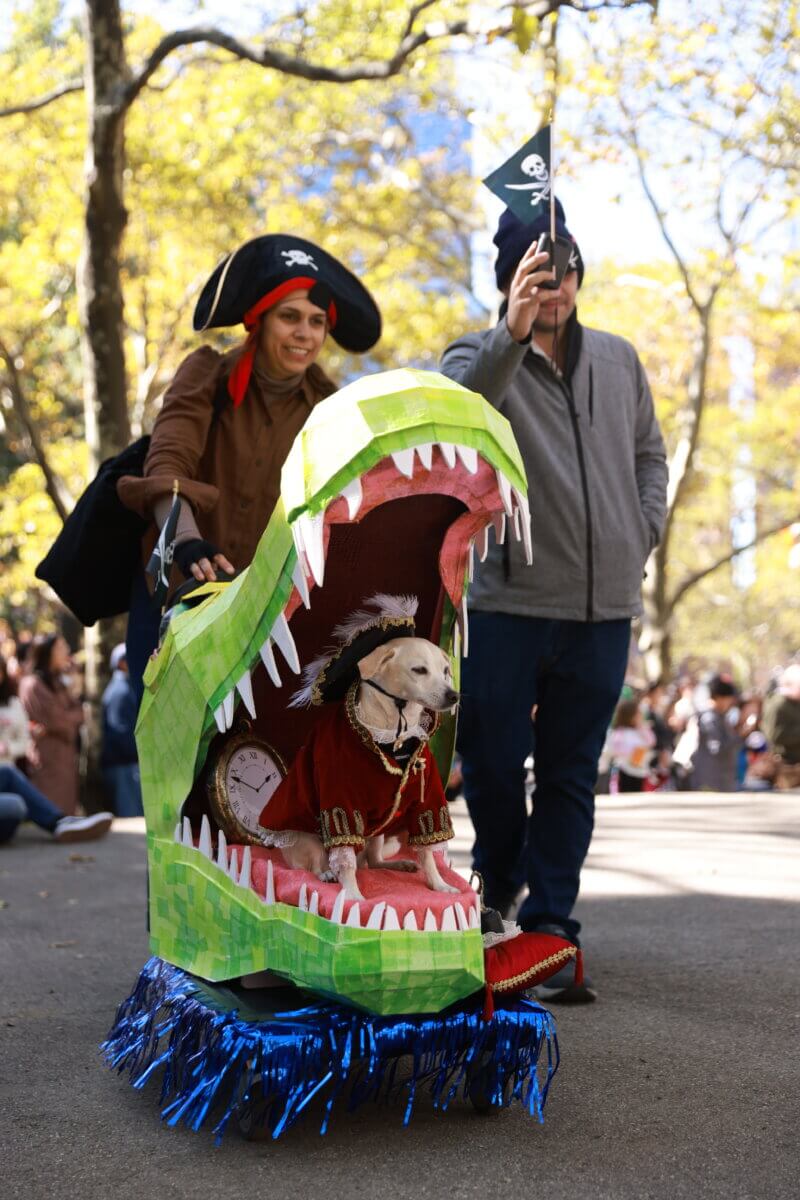 It’s the great PUPkin! Beloved Fort Greene dog costume contest turns 25