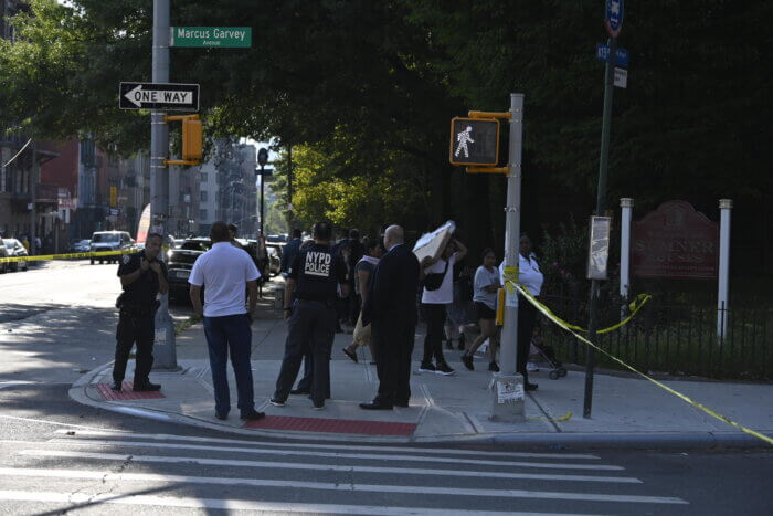 bed-stuy shooting near sumner houses