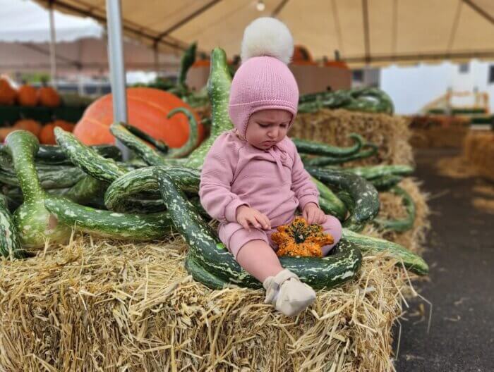 pumpkin patch