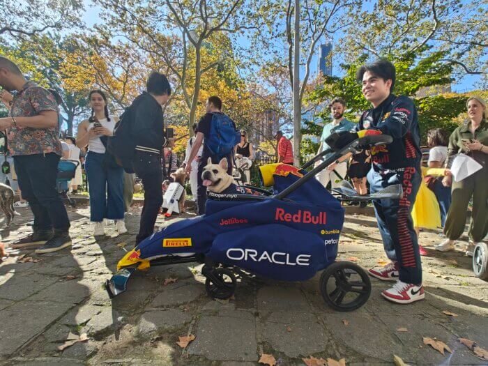 race car dog at great PUPkin