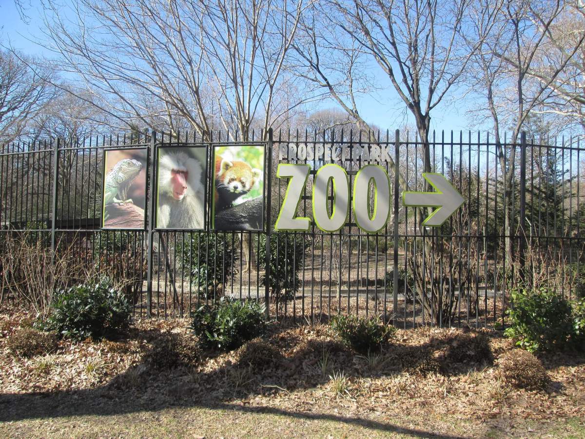 prospect park zoo