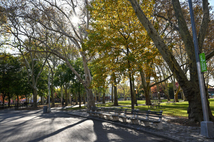 benches at McGolrick Park