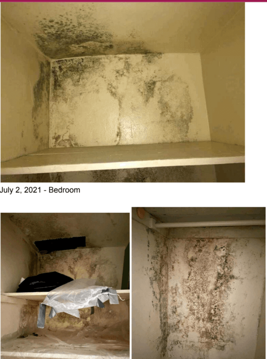Some apartments show mold growth in their bathrooms, bedrooms, and living rooms.
