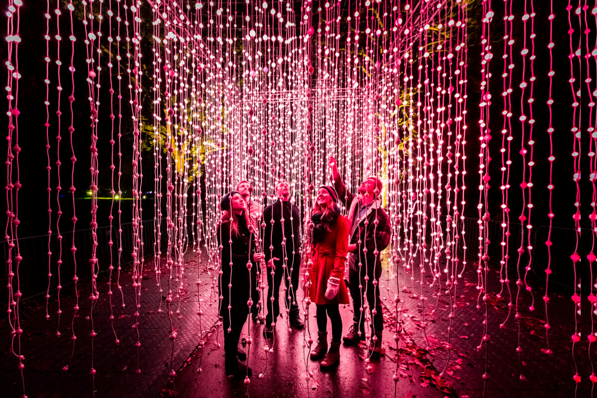 Submergence at Lightscape Brooklyn Botanic Garden