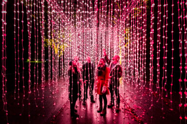 Submergence at Lightscape Brooklyn Botanic Garden