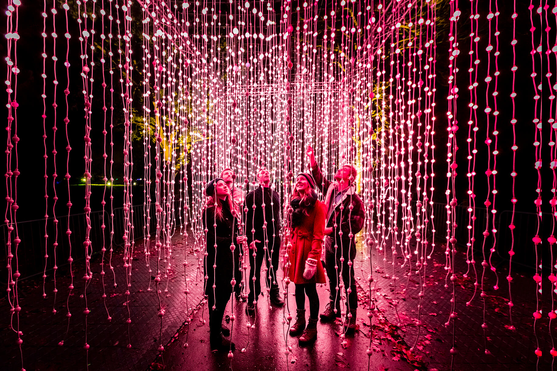 Light up the night: ‘Lightscape’ brings dazzling holiday display to the ...