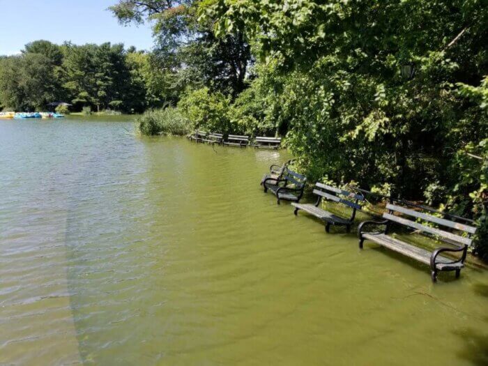 flooding in prospect park ida