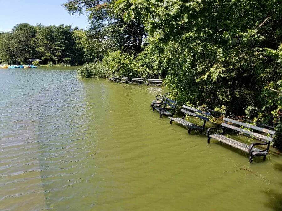 flooding in prospect park ida