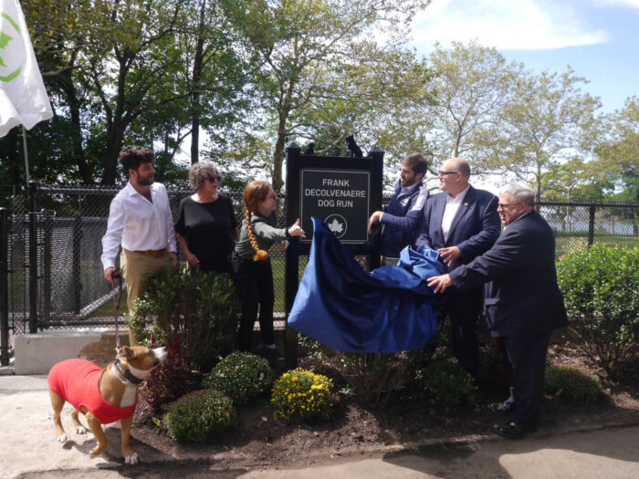 bay ridge dog run