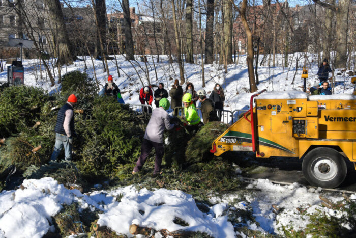 people chippinh trees at mulchfest 