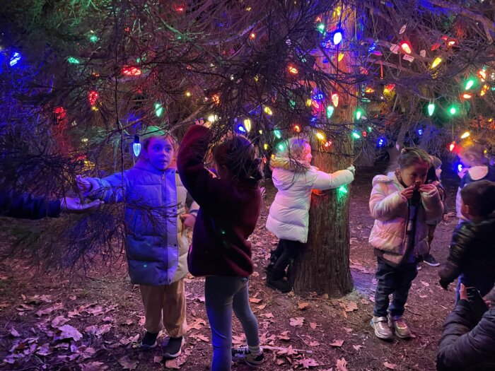 kids hugging cannonball park christmas tree