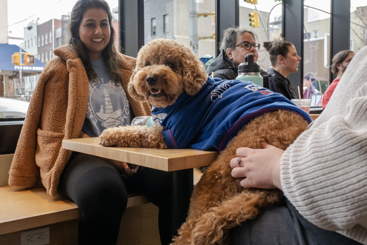 NY: Puppy Bowl XX Viewing