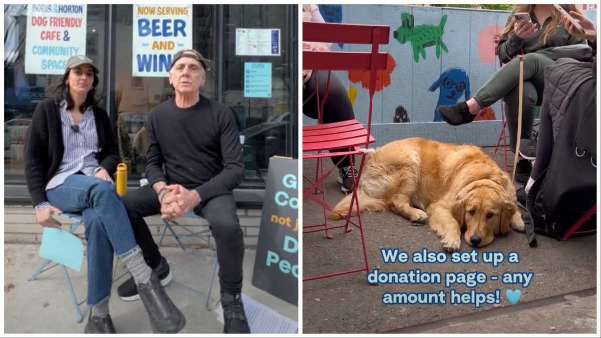 borisandhortoncrowdfund
