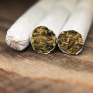 cannabis rolls bay ridge