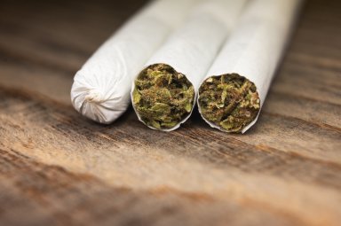 cannabis rolls bay ridge