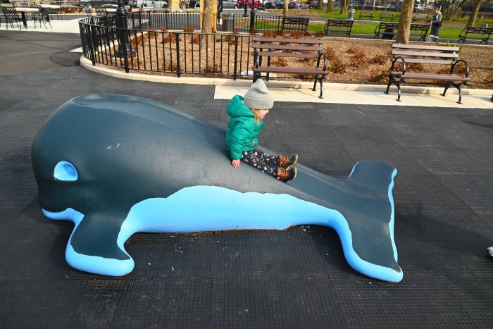 playground whale