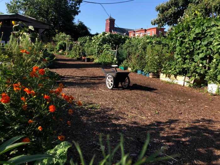 myrtle village green community garden