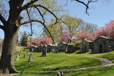 The Green-Wood Cemetery is preparing the annual cherry blossom season where their 172 Japanese cherry blossom trees will bloom.