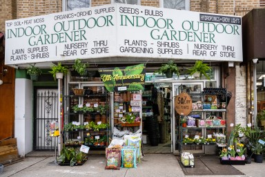 NY: Indoor Outdoor Gardener