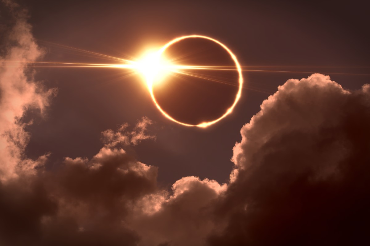 On April 8, a total solar eclipse is set to occur with Brooklynites preparing to watch the event.