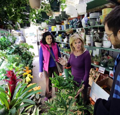 Bay Ridge's "plant doctor" celebrates store's 50th anniversary on April 6th.
