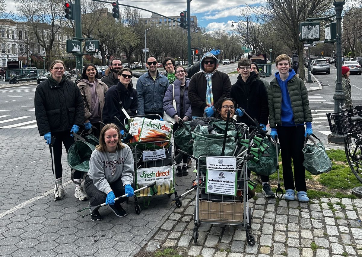 crown heights cleanup crew