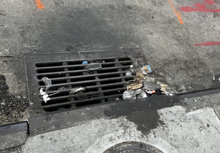 sewer grate in crown heights