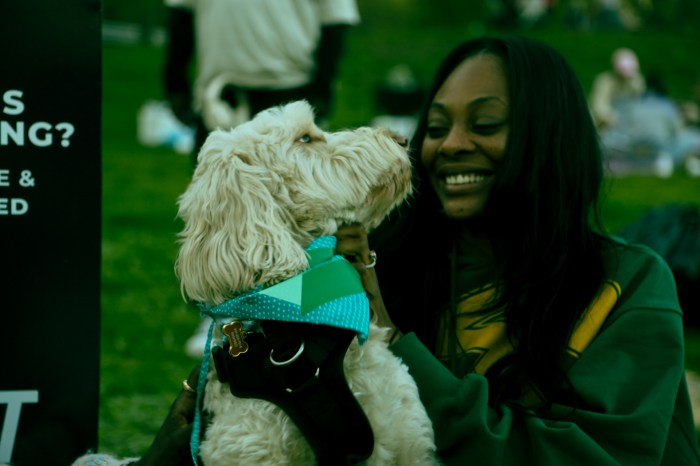 dog at 4/20 picnic